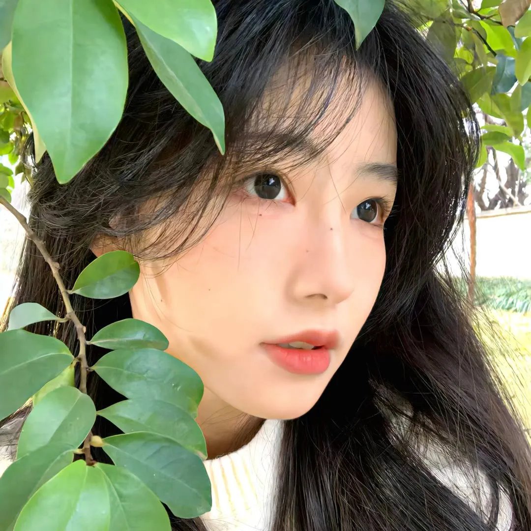 梦影留声